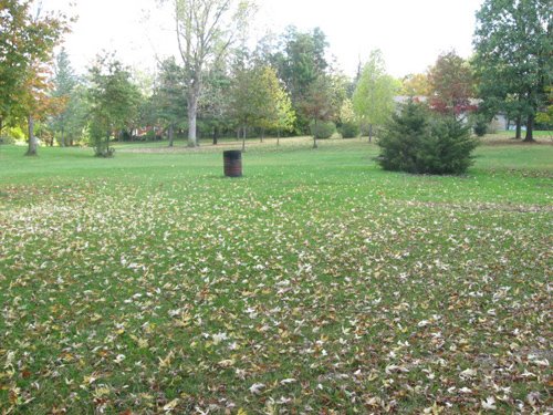 Property photo 15 - 3 Bedroom Ranch on 2 Wooded Acres